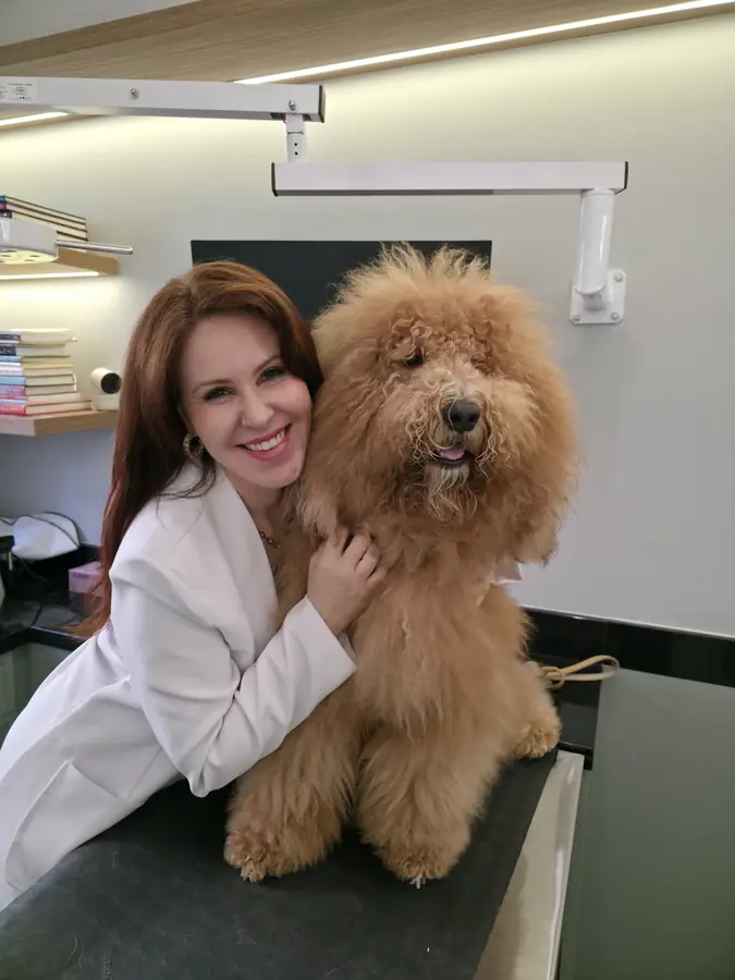 Dra. Clarice ao lado de um poodle grande no consultório